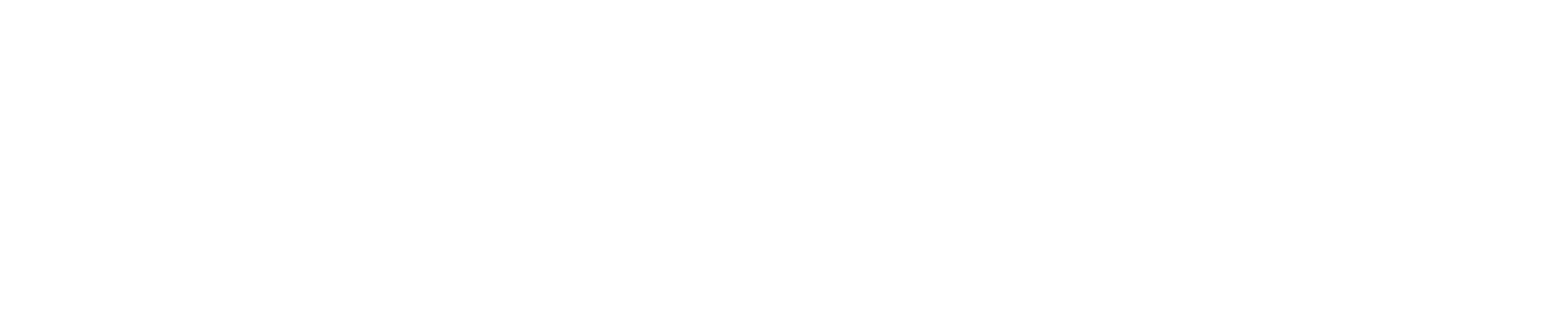 HyperMindz White Logo